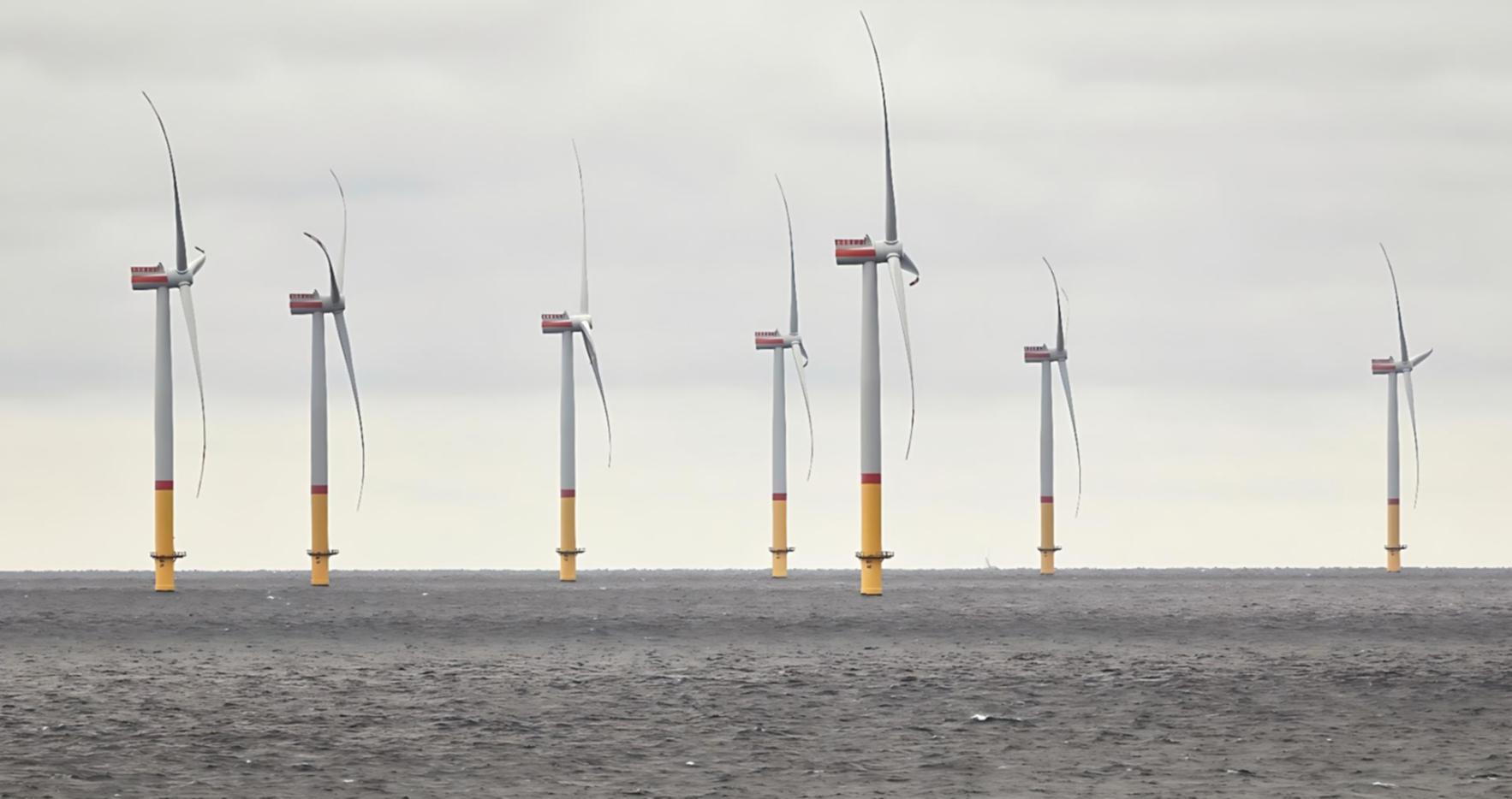 Teilnehmer beim Online-Lernen über Gasenergie-Technologien