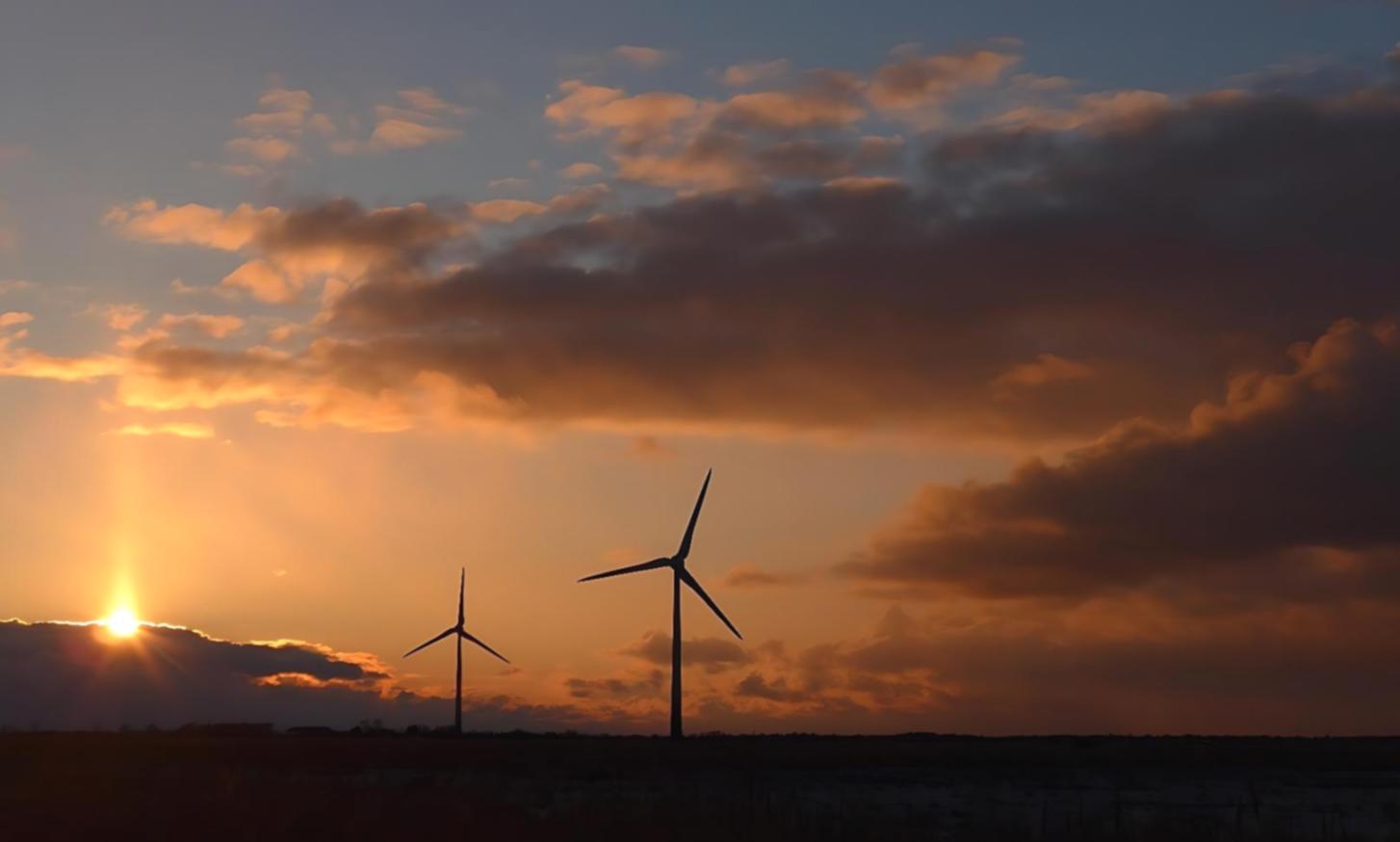 Workshop-Sessions für intensive Gruppenarbeit und Projektentwicklung