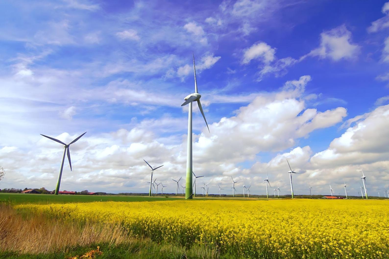 Gemeinsames Lernen und Zusammenarbeit in der Gasenergie-Community